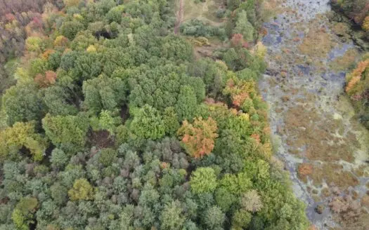 Hunting Land for Sale in Michigan-43 Acres in Montcalm Count