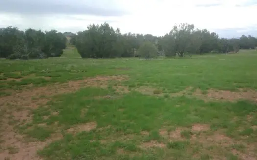 Rv Pad / 2 Acres / Good Hunting Area