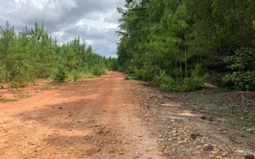 Off or on Grid Living in Blackstock, South Carolina