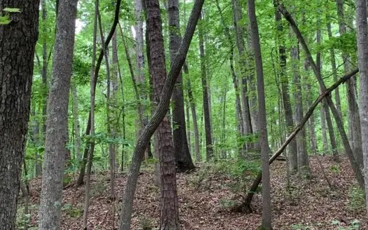 Welcome to Oak Haven in Southern Va