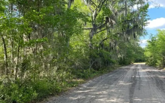 Jasper / Lowcountry / Recreational Land / Homesite