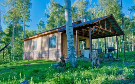 Colorado Mountain Cabin on 35 Acres in Montrose