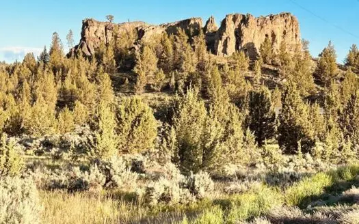 Lakefront Mountain View Property