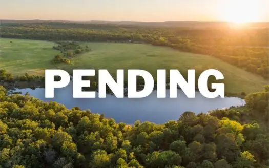 55 Acres – Incredible Fishing Pond – Absolutely Gorgeous