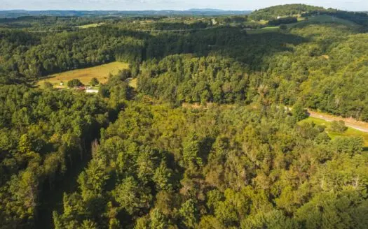 Wooded Land for Sale in Floyd Va!