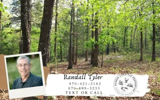 Ozarks Wooded Acreage for Sale Near Salem Arkansas