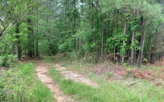 Old Country Home Site W/ Acreage for Sale Near Camden, Ar