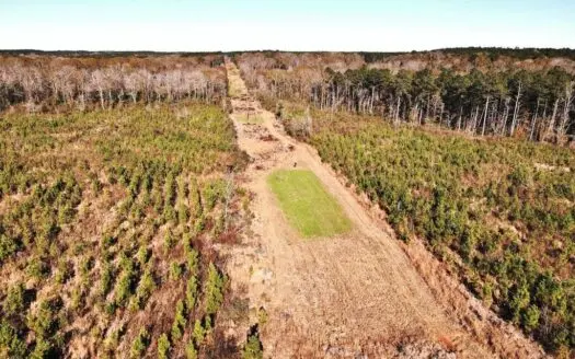 55.56 Acres Hunting Timber Land for Sale Npsd Southwest Ms