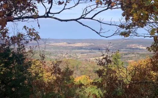 Not for Faint Of Heart