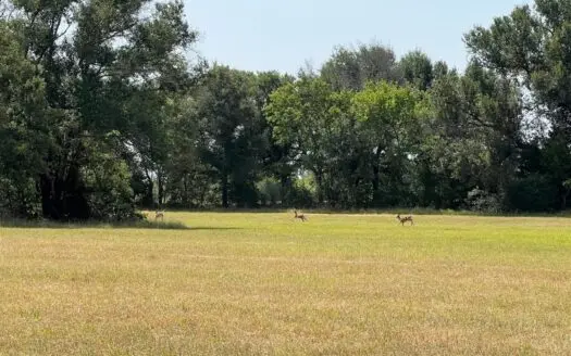 Country Living, Outstanding Build Site, No Restrictions