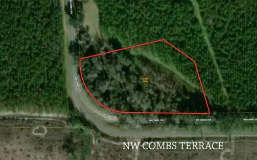 Hunting/ Recreational Parcel at Auction, Lke City, Florida