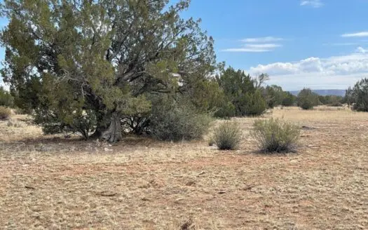 Owner Financing – Meadowland – Flat & Usable – Views