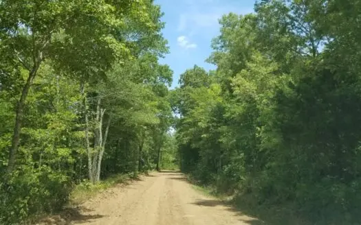 40 Acre Madison County, Ar Recreation Property for Sale