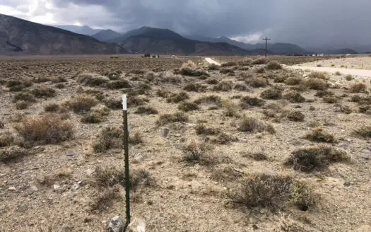 Nevada Residential Buildable Mountain Desert Land for Sale