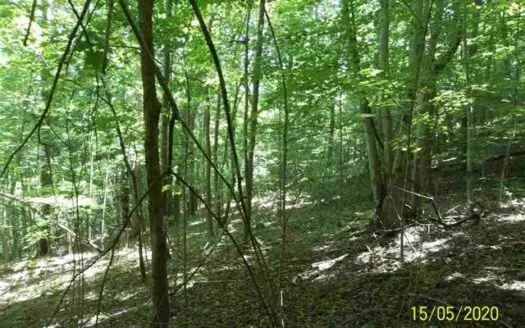 8.51 Acres Wooded Land for Sale in Hancock Co., Tn