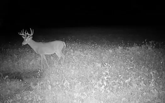 Recreational Land for Sale in Grant County, Wisconsin