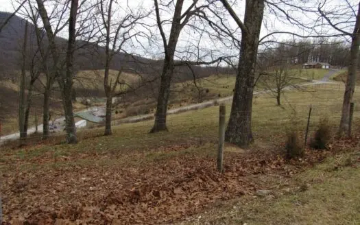 Building Lot for Sale in Lebanon Va