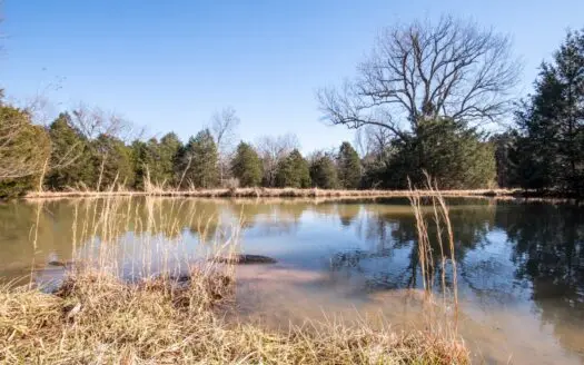 Land for Sale in Maury County Tennessee