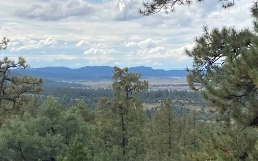 Well Priced, Buildable Lot in Ponderosa, with Great Views!