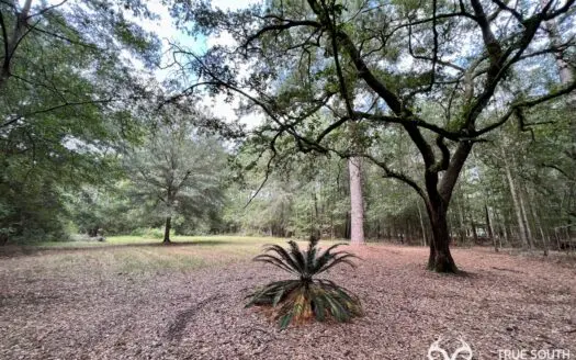 Sheldon 10 Ac Rural Land Paige Point Landing