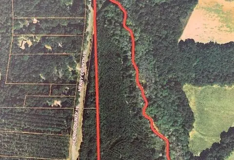 Land for Sale in Henry County, Alabama