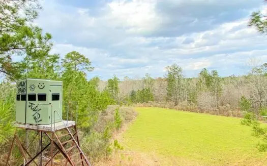 402 Acre Turnkey Hunting Tract/camp for Sale Adams Co., Ms