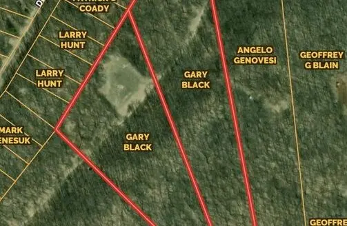 20 Acres for Sale in Gaylord Mi Otsego County