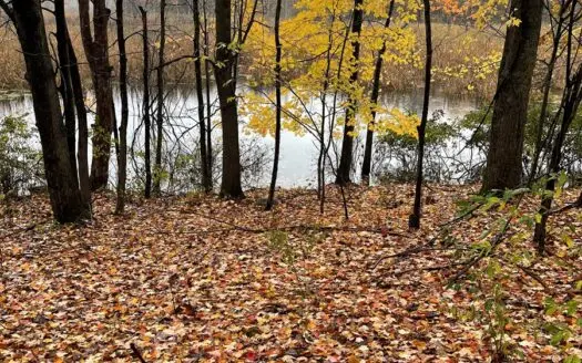 Hunting Land for Sale in Michigan-15 Acres Montcalm County