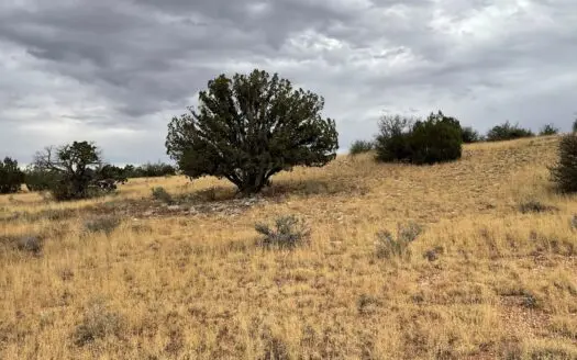 36 Acres North Of Williams Az for Sale