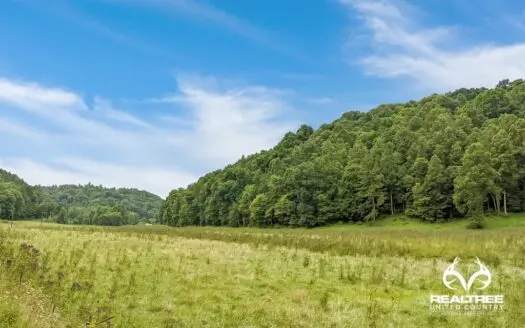 26 Acre Tract in Jackson County