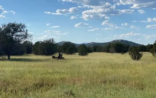 Mountain Land for Sale North Of Ash Fork, Azfv