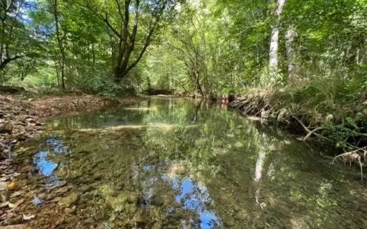 Cabin for Sale in Tn with Spring, Man Cave