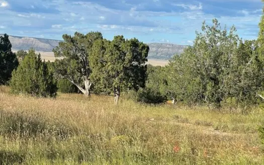 Great Hunting / Recreational Property in Northern Arizona