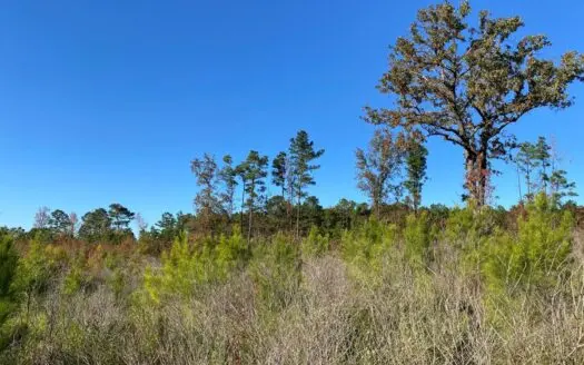 Country Land for Sale, Harrison County, Marshall, Tx