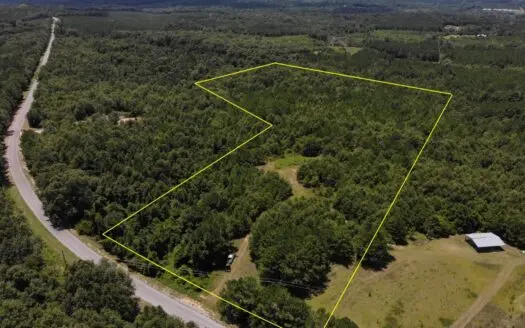 21ac Land for Sale – Skipperville Alabama Gw Long – Hunting
