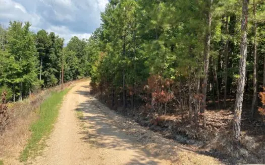 Acreage for Sale in Izard County, Arkansas