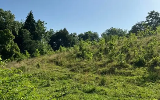 24 Surveyed Acres in East Tennessee for Sale