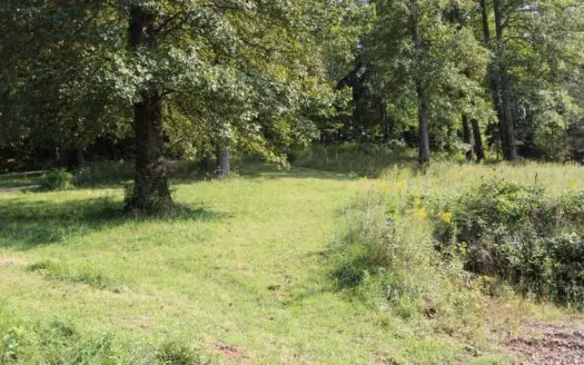 Building Lot for Sale in Floyd Va