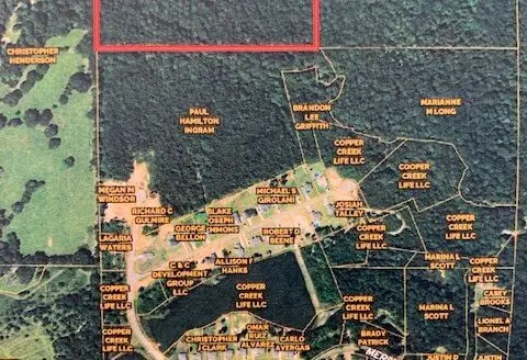 Land for Sale in Dale County Alabama