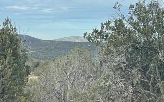 Owner Financing – 2 Acres Gently Sloped – Views