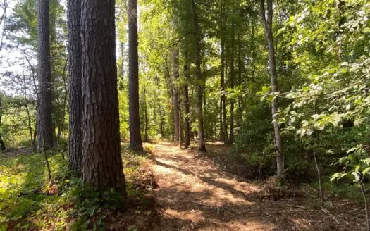 25 Acres for Sale in Cass County