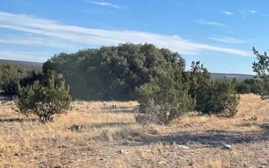 West Central Texas Land for Sale Near Mertzon and San Angelo