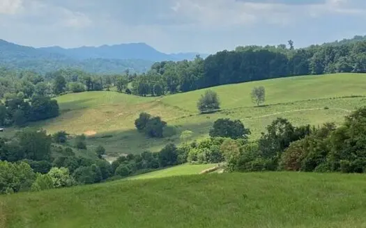 16.41 Acres  in Hawkins Co Tn for Sale