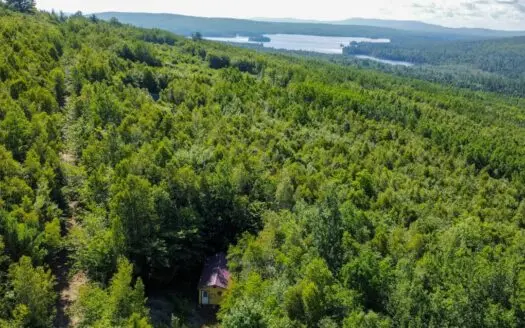 Maine Tiny Cabin in the Woods