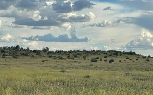 44+ Acres Great for Horses Easy Road Access