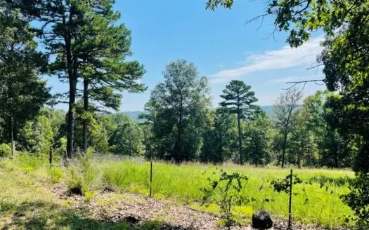 Land for Sale in Melbourne, Arkansas