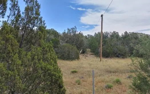 Multi-use Property Residential – Service Close to I-40.