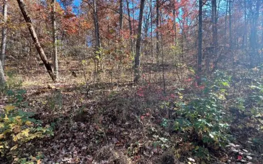 Residential Lot 3 Acres