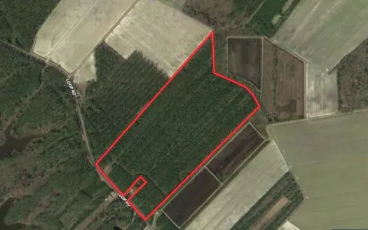 Great Hunting/timber Tract