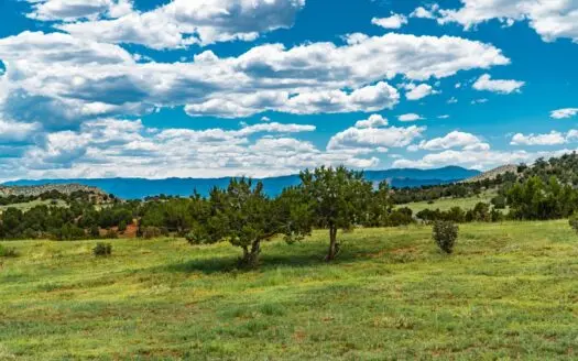 40 Acres Bordering Blm Great Views Minutes to Canon City Co